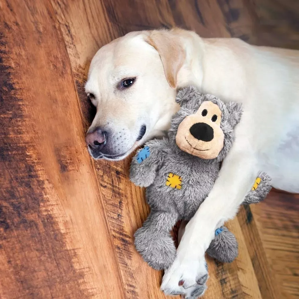 Segunda imagen para búsqueda de kong para perros