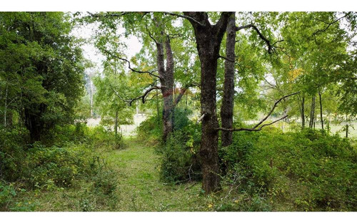 Plot In Pucón, Los Riscos Safe Investment