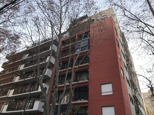 Imagen 2 de 30 de Departamento Con Gran Terraza Y Parrilla - Belgrano