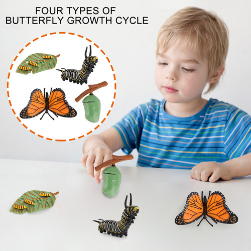 Cama De Plástico Con Forma De Insecto Con Forma De Ciclo De