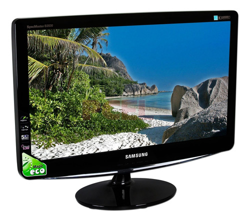 Monitor Samsung Syncmaster B2030 De 20 Negro (Usado)