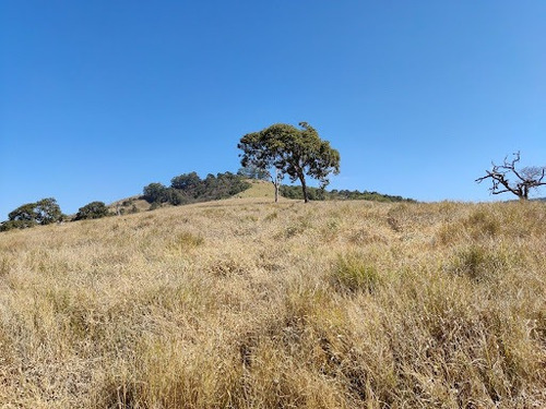 Imagem 3 de 10 de Chácara À Venda, 84700 M² Por R$ 850.000,00 - Água Comprida - Cambuí/mg - Ch0108