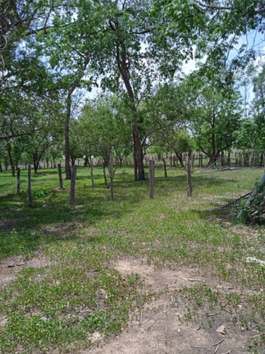Imagen 8 de 9 de Altagracia De Orituco, Sector Lezama De Orituco Código: Att-102