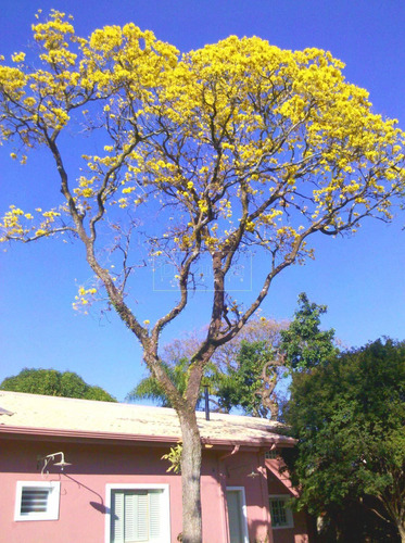 Imagem 3 de 30 de Chácara À Venda Em Bananal - Ch052914
