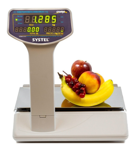 Imagen 4 de 10 de Balanza Systel 30 Kg Croma Impresor Eco Ticket Service Delta
