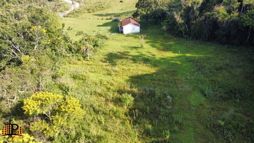 Imagem 12 de 30 de Chácara À Venda 7.500m2 Terreno Contendo Agua, Energia Elétrica, Casa Localizada Na Estrada Dos Borges Bairro Barrinha - São Lourenço Da Serra/sp - Ch07793 - 70644167