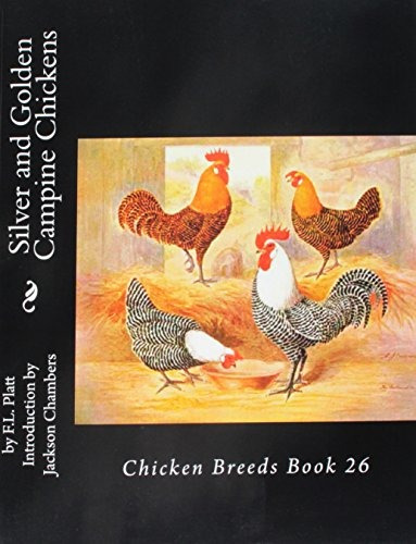 Silver And Golden Campine Chickens Chicken Breeds Book 26 (v