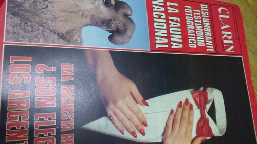 Revista Clarin 15284 Domingo 28 Agosto  Año 1988