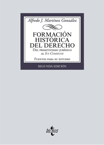 Libro Formacion Historica Del Derecho