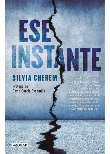 Ese instante: Torres Gemelas, de Cherem, Silvia. Biografía y testimonios, vol. Único. Editorial Aguilar, tapa blanda, edición 1 en español, 2021