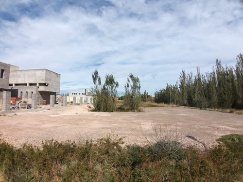 Imagen 6 de 8 de Terreno En Loteo Calpa, Confluencia Rural, De 1.000m2. Subdivisible