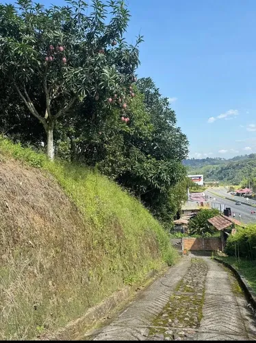 Terreno