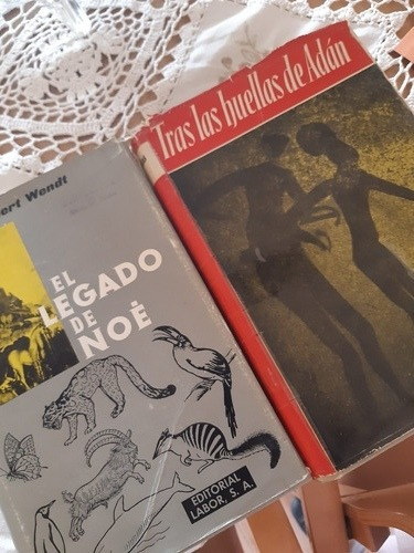 Dos Libros Científicos De Hallazgos Arqueológicos.