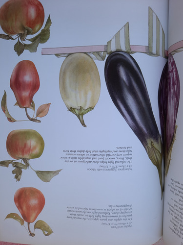 Libro Acuarela Billy Showell Fruit Y Vegetable Portraits