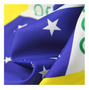Terceira imagem para pesquisa de bandeira brasil