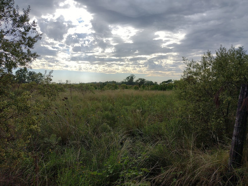 Campo En Venta En Pilar