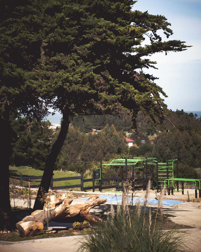 Pichilemu /punta De Lobos (74859)