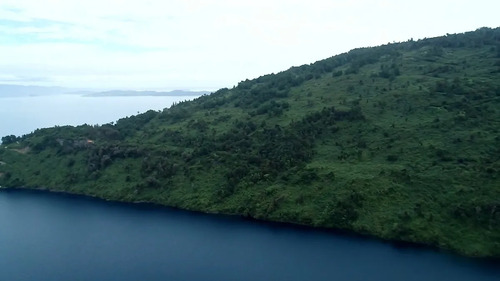 Remate - Futrono/lago Ranco - 60 Hectáreas