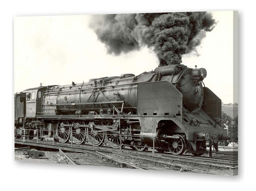 Cuadro 50x75cm Locomotora Trenes Ferrovias Anden Viaje P2