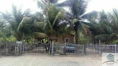 Imagem 1 de 7 de Granja A Venda Em Macaíba