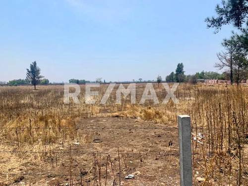 Terreno / Rancho Venta Zumpango