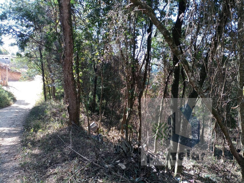 Imagem 4 de 14 de *** Lindo Terreno ***