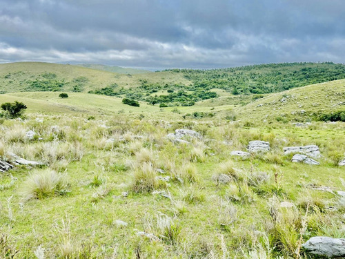 Venta Campo Lavalleja Minas