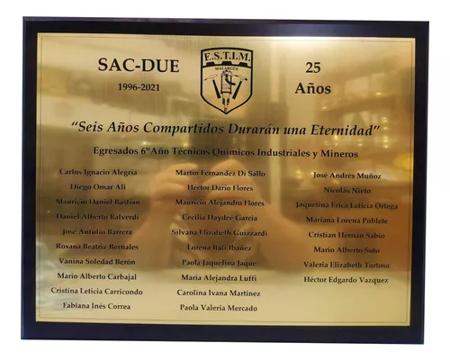 Placas Conmemorativas Grabado Laser 24x20 Cm