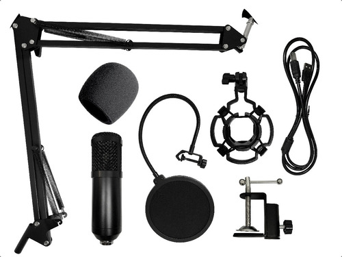 Imagen 1 de 1 de Microfono Diseño Doble Capa Condenser Streaming Skyway M1