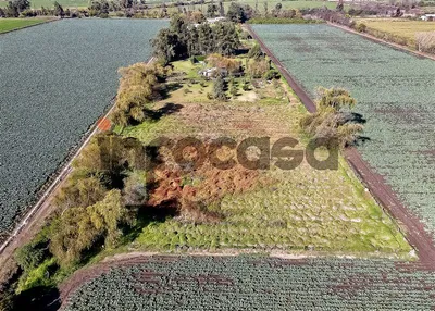 Agrícola en venta