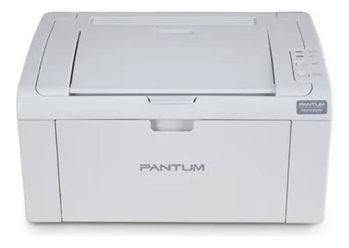 Impresora Laser Pantum P2509w Monocromatica Wifi Almagro Color Gris