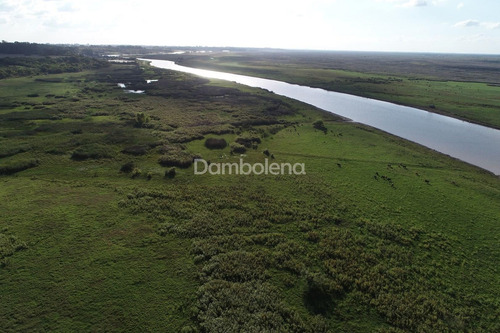 Imagen 29 de 30 de Terreno Campo En Venta O Permuta Ubicado En Baradero, Resto De La Provincia, Buenos Aires