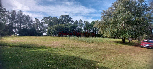 Imagen 8 de 16 de Venta Chacra En La Pataia Con Casa 4 Dormitorios