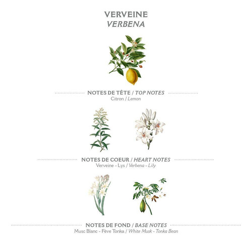 Cuidado De Manos Natural Ritual - Fragancia Verbena | Panier