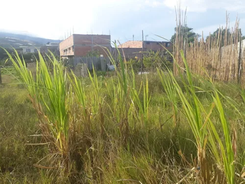 Lote En Sutamarchán