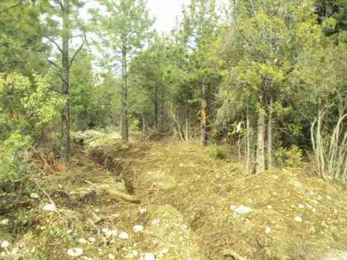 El Bolsón, Mallin Ahogado, Precioso Terreno De 2000 Mts2, Valor Usd 25.000