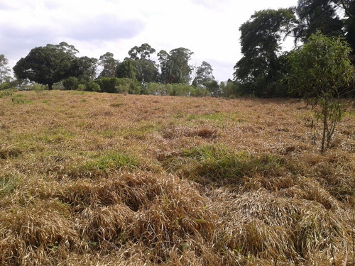 Imagem 3 de 11 de Terreno À Venda, 12000 M² Por R$ 6.500.000,00 - Perová - Arujá/sp - Te0001