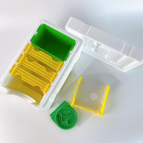 Diy Apicultura Reina De Aparejamiento Nuc Polinización Caja