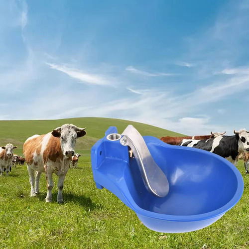 Cuenco Automático De Agua Potable Para Caballos, Bebederos