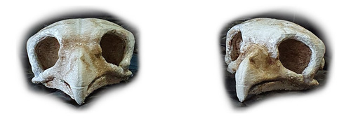 Decorativo Cráneo Búho 4cm De Alto