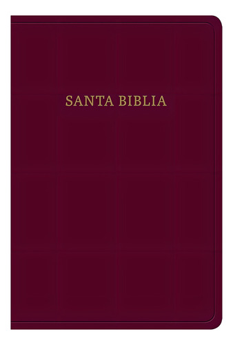Biblia Letra Grande Tamaño Manual