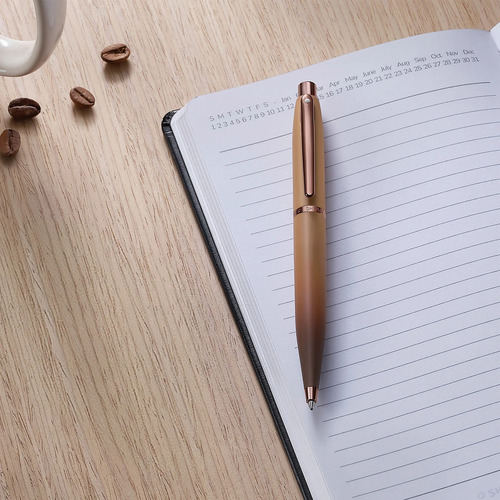 Caneta Esferográfica Sheaffer Vfm Café Matte E2942851