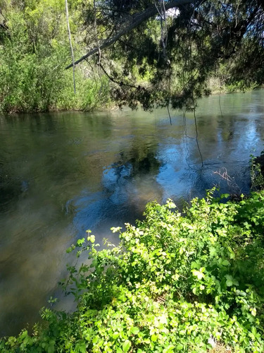Oelckers Vende, Termas De Catillo, Con Orilla Rio Cato