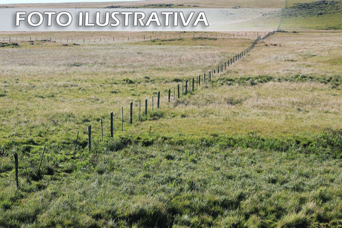 Imagem 1 de 1 de Terreno Sem Consulta No Spc/serasa