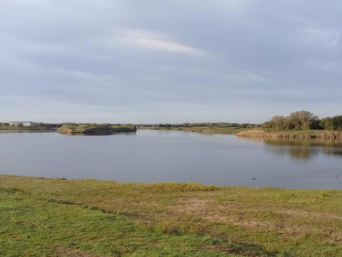 Imagen 13 de 19 de Campo En Venta - 101 Hectáreas - Pinamar