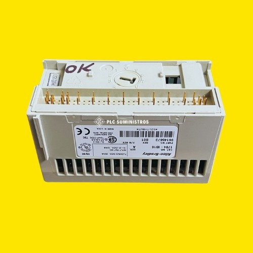 Allen-bradley 1794-ib16 Modulo De Entrada (Usado)