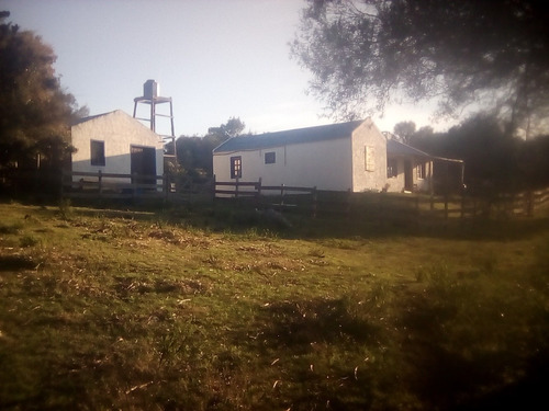 Campo 14.5 Hs Casa 2 Dormitorios , Luz Eléctrica, Cañada