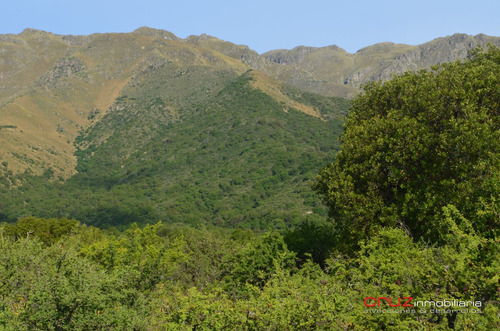 Imagen 1 de 14 de Lote De 5024m2 En Zona Alta De Carpintería