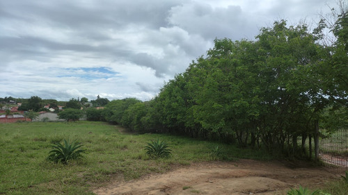 Propriedade Rural Próxima A Cidade Em Senhor Do Bonfim - Ba