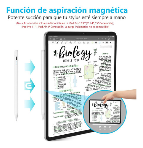 Lápiz Óptico Stylus Pluma For iPad Magneticacarga Rapid